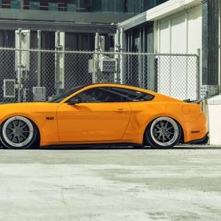 Bagged cars wallpaper