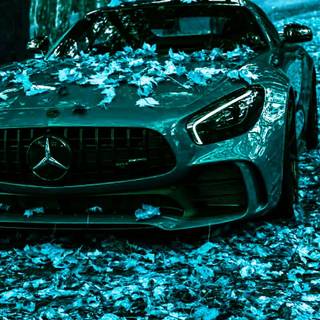 Bagged cars wallpaper