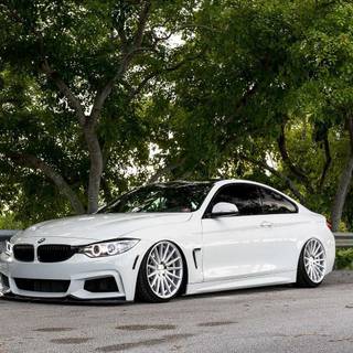 Bagged cars wallpaper