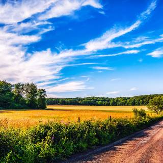 Summer 4k desktop wallpaper