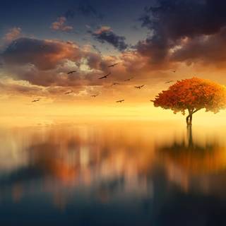 Summer 3840x2160 wallpaper