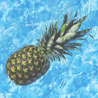 Preppy summer time wallpaper