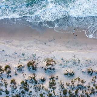 Preppy summer time wallpaper