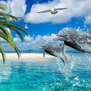 Summer sea animals wallpaper