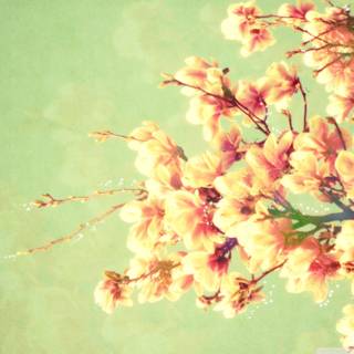 Vintage spring desktop wallpaper