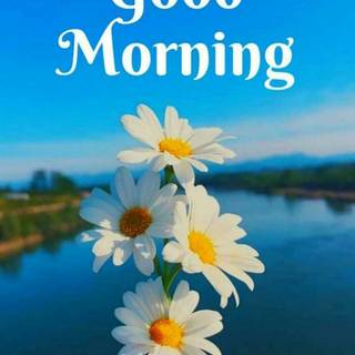 Spring good morning wallpaper