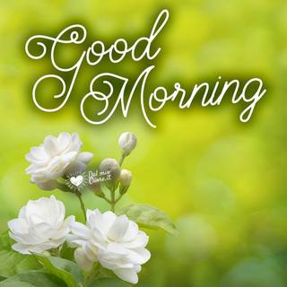 Spring good morning wallpaper