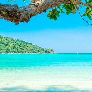 Summer 4k phone wallpaper