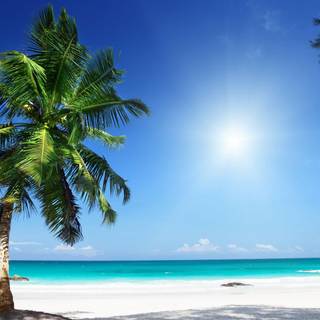 Summer 3840x2160 wallpaper