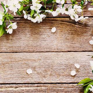 Farm house springtime wallpaper