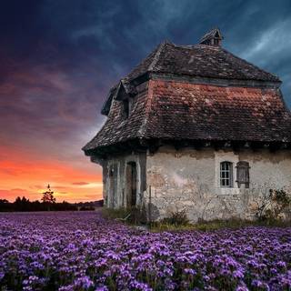 Farm house springtime wallpaper