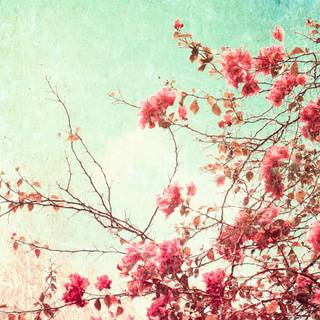 Vintage spring desktop wallpaper