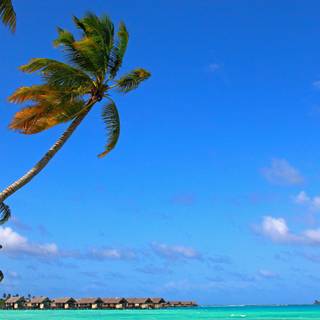 Summer 3840x2160 wallpaper