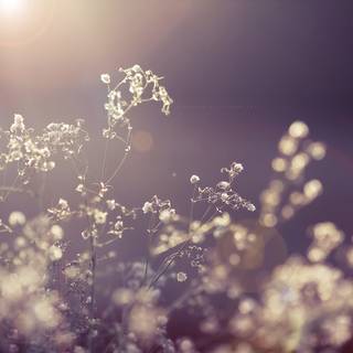 Vintage spring desktop wallpaper