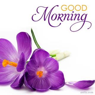 Spring good morning wallpaper