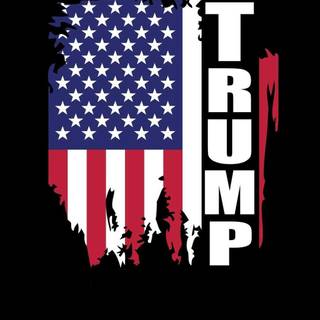iPhone Trump 2024 wallpaper