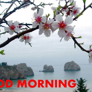 Spring good morning wallpaper
