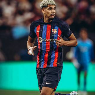 Araujo 2023 iPhone wallpaper