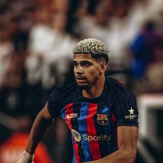 Araujo 2023 iPhone wallpaper