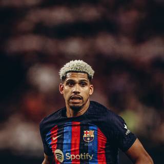 Araujo 2023 iPhone wallpaper