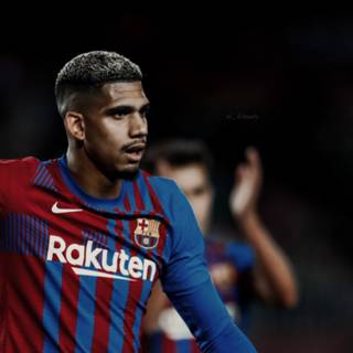 Araujo iPhone wallpaper