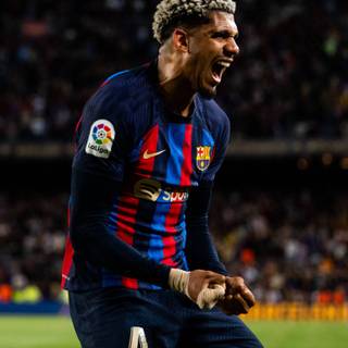 Araujo 2023 iPhone wallpaper