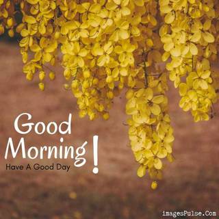 Spring good morning wallpaper