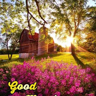 Spring good morning wallpaper