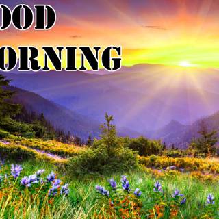 Spring good morning wallpaper