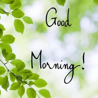 Spring good morning wallpaper