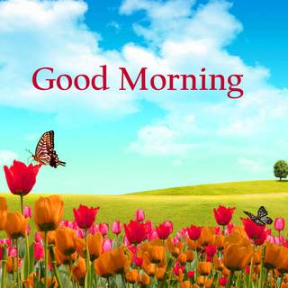 Spring good morning wallpaper