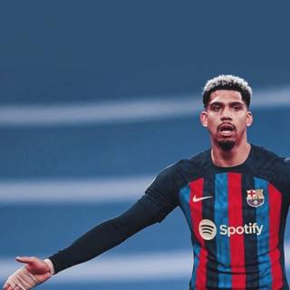 Araujo 2023 iPhone wallpaper