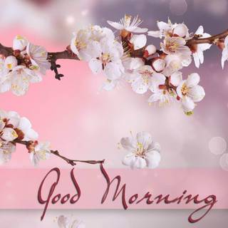 Spring good morning wallpaper
