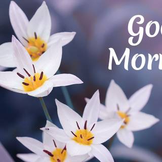 Spring good morning wallpaper