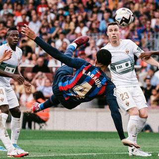 Araujo 2023 iPhone wallpaper