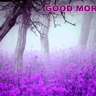 Spring good morning wallpaper
