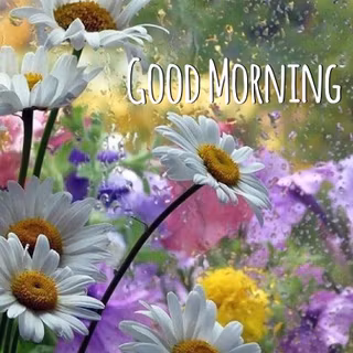 Spring good morning wallpaper