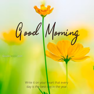 Spring good morning wallpaper