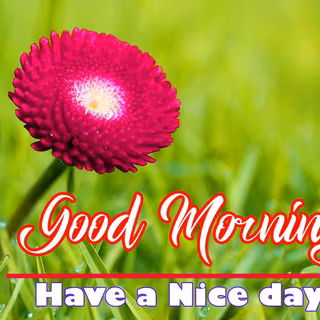 Spring good morning wallpaper