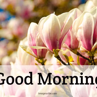 Spring good morning wallpaper