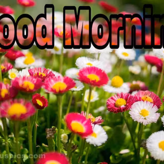 Spring good morning wallpaper