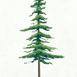 Pinetree wallpaper