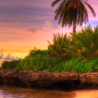 Nature summer mobile wallpaper