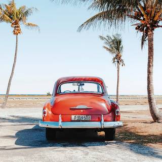 Vintage summer nature wallpaper