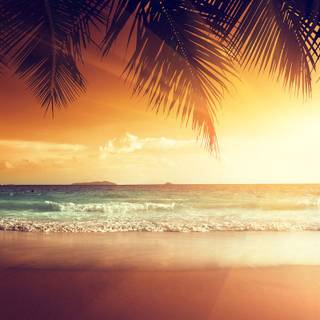 Vintage summer nature wallpaper