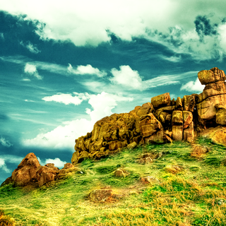 Vintage summer nature wallpaper