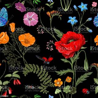 Vintage summer nature wallpaper