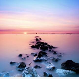 Vintage summer nature wallpaper