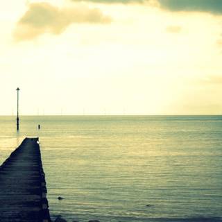 Vintage summer nature wallpaper