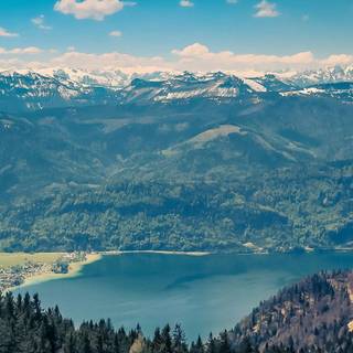 Nature summer mobile wallpaper